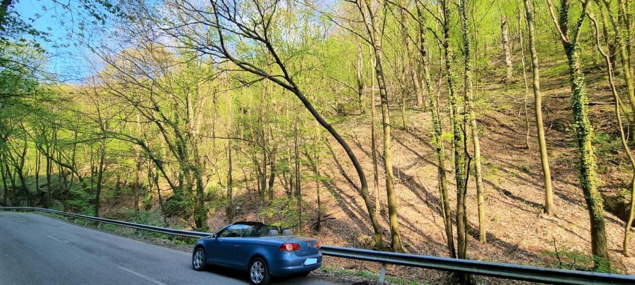 Hos-Cegledi Vendeghaz Miskolc -Oenallo Otthon, Mely Csak Az Oenoeke Exteriör bild