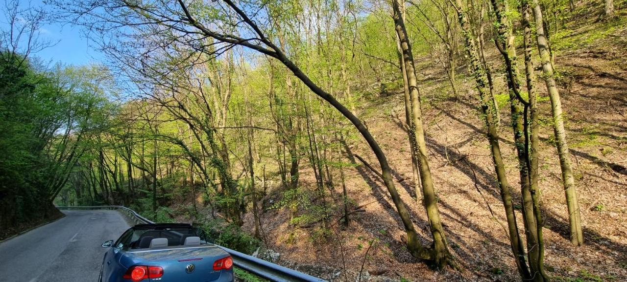Hos-Cegledi Vendeghaz Miskolc -Oenallo Otthon, Mely Csak Az Oenoeke Exteriör bild