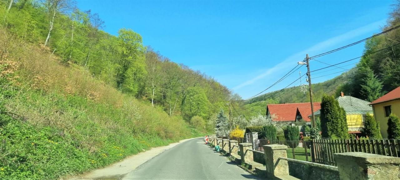 Hos-Cegledi Vendeghaz Miskolc -Oenallo Otthon, Mely Csak Az Oenoeke Exteriör bild